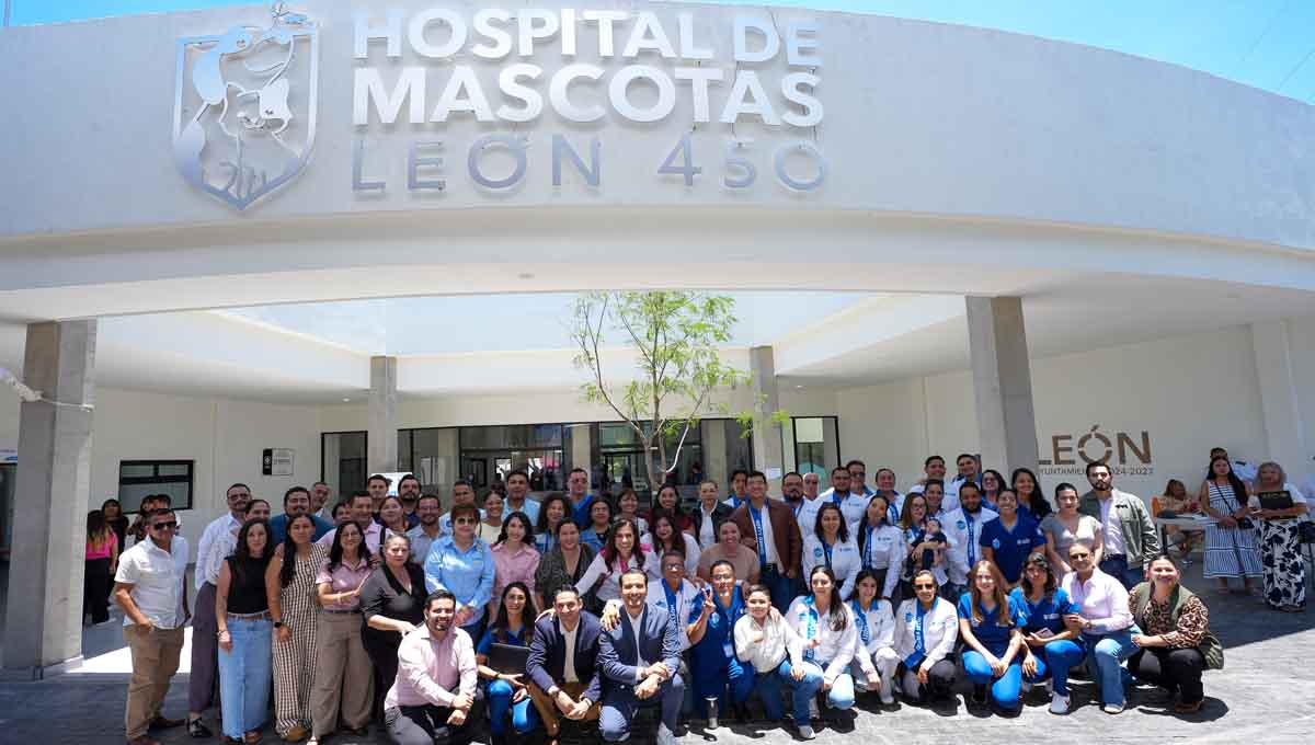 Hospital de Mascotas León 450 equipo