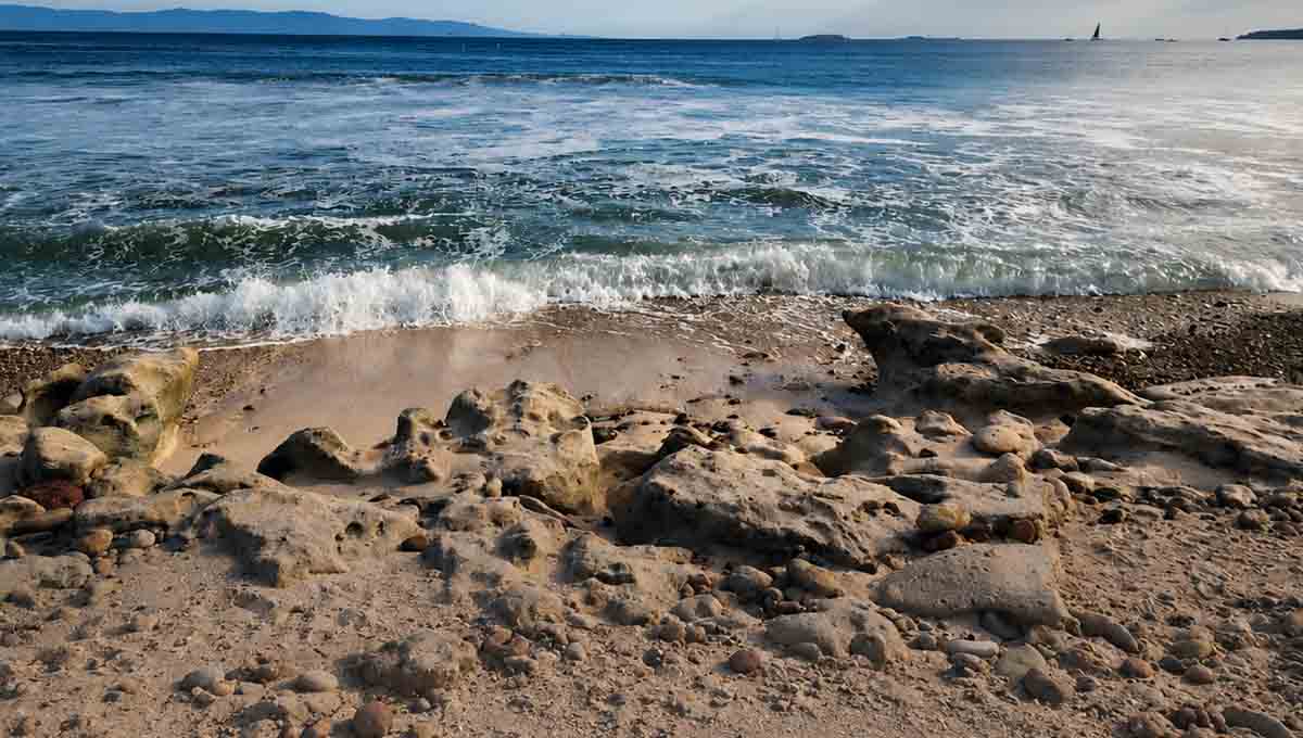 Semarnat Playa Las Cocinas limpia
