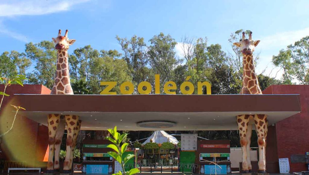 ZooLeón 1
