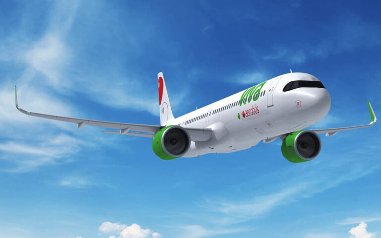 Viva avión volando